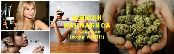 ПСИЛОЦИБИНОВЫЕ ГРИБЫ Баксан