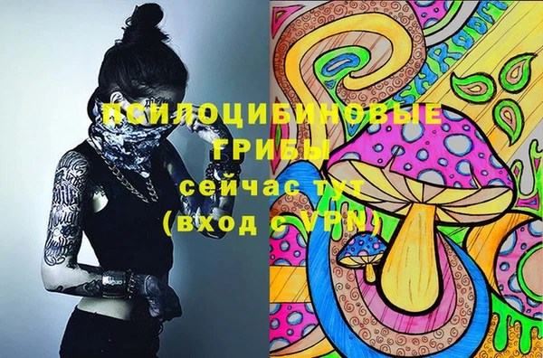 амфетамин Белокуриха