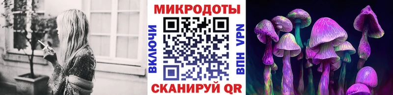 KRAKEN как зайти  Новоаннинский  Галлюциногенные грибы MAGIC MUSHROOMS 